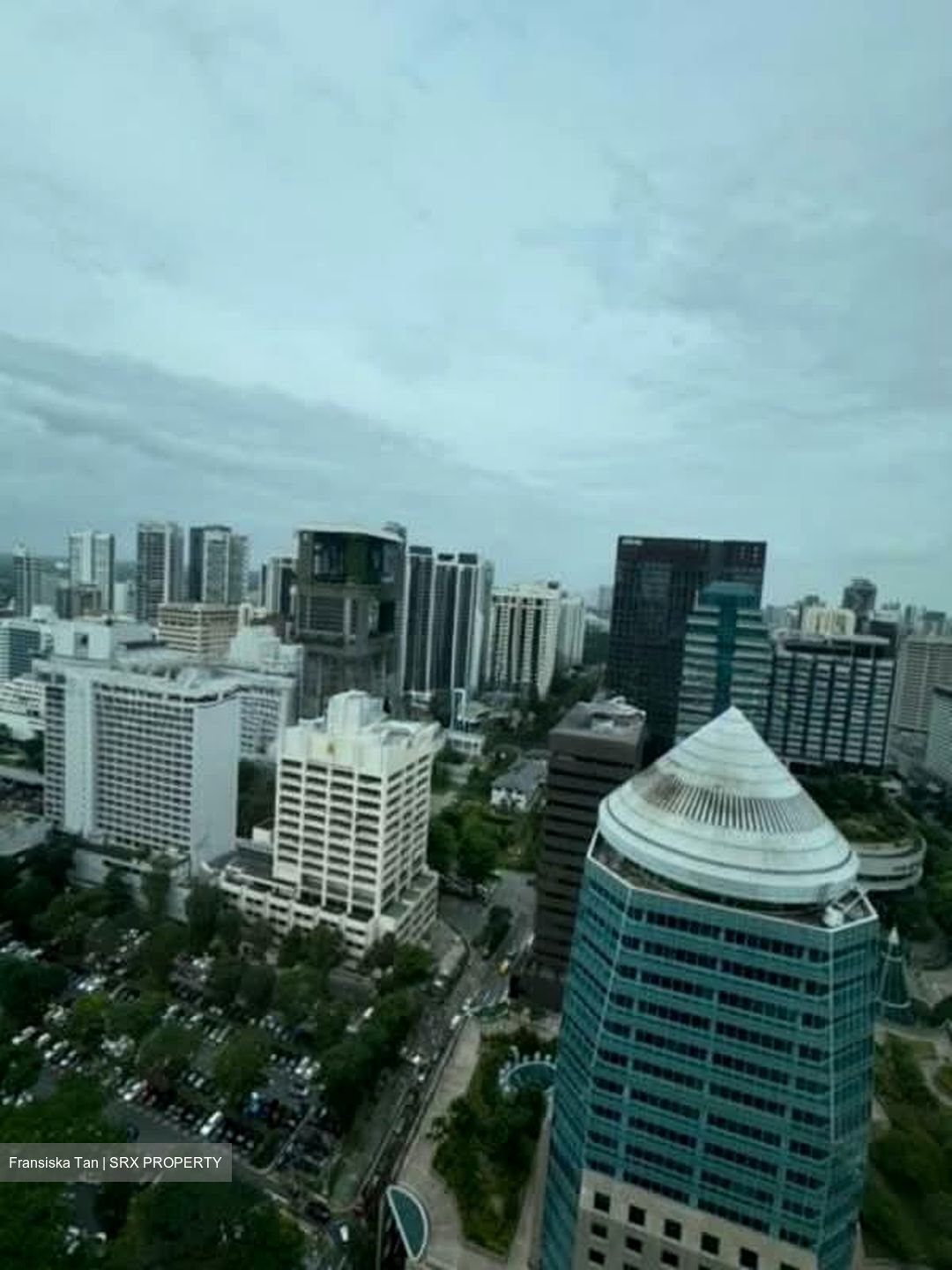 TwentyOne Angullia Park (D9), Condominium #577958551